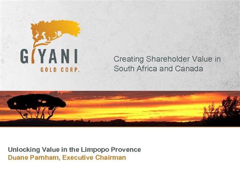  Unlocking Shareholder Value: A Guide for South African Investors - An Exquisite Exploration of Financial Autonomy and Wealth Creation